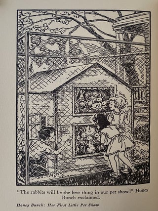 Honey Bunch: Her First Little Pet Show