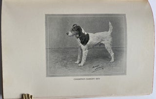 The Wire-Haired Foxterrier.