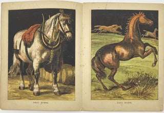 Horses, Warne’s Large Picture Toy Books