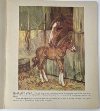 Baby Animals, Paintings and Stories; No. 874
