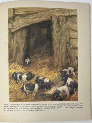 Baby Animals, Paintings and Stories; No. 874