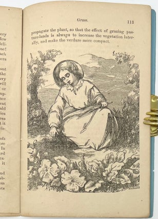 The Children’s Magazine, Volume XL, May 1868