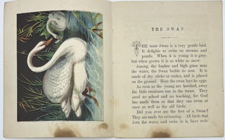 The Swan and Other Stories, Printed in Oil Colors, Natural History Series