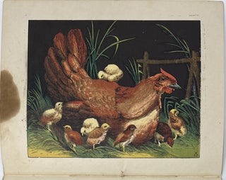 The Swan and Other Stories, Printed in Oil Colors, Natural History Series