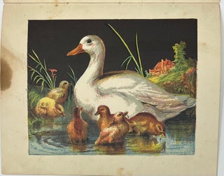 The Swan and Other Stories, Printed in Oil Colors, Natural History Series