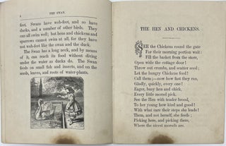 The Swan and Other Stories, Printed in Oil Colors, Natural History Series