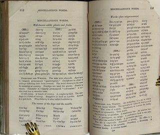 A Comprehensive Spelling-Book on the Plan of the Pronouncing Spelling-Book