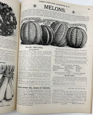 Vick's Floral Guide 1897