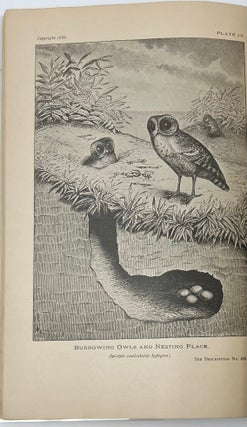 Egg Check List and Key to the Nests and Eggs of North American Birds, Second Edition Revised and Enlarged with Seven Full-Page Engravings