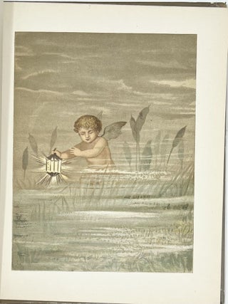 Fly-Away Fairies and Baby-Blossoms