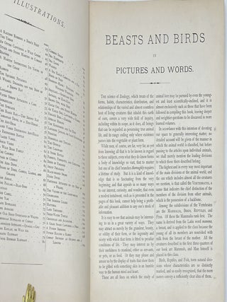Beasts & Birds, in Pictures & Words