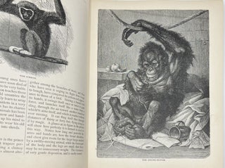 Beasts & Birds, in Pictures & Words