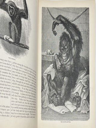 Midget A.B.C. Book., Linen