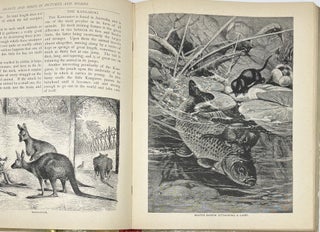 Midget A.B.C. Book., Linen