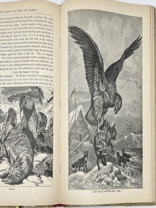 Midget A.B.C. Book., Linen