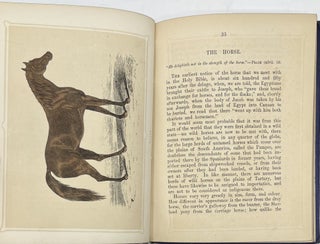 Scripture Quadrupeds; Containing a Description of the Animals Mentioned in The Bible. With Coloured Illustrations