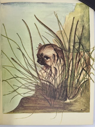 Wee Jade Button, To the Pekingese Pom-Pom, Much mourned campanion of an alone child