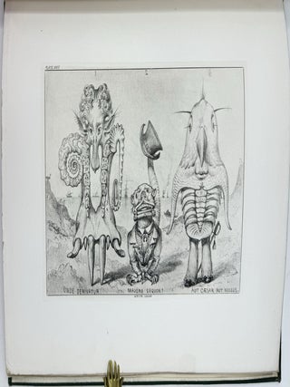 Grotesque Animals, Invented, Drawn, and Described, Entwickelungsgeschichte
