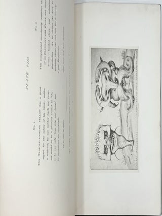 Grotesque Animals, Invented, Drawn, and Described, Entwickelungsgeschichte