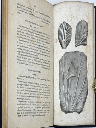 Third Annual Report of the Regents of the University, on the Condition of the State Cabinet of Natural History, and the Historical and Antiquarian Collection, Annexed Thereto. Revised Edition: Printed by order of the Assembly of the State of New-York