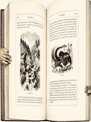 The Hudson, From the Wilderness to the Sea; Illustrated by Three Hundred and Six Engravings on Wood, from Drawings by the Author, and a Frontispiece on Steel
