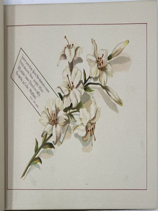My Lady's Casket of Jewels and Flowers for Her Adorning, Illustrated