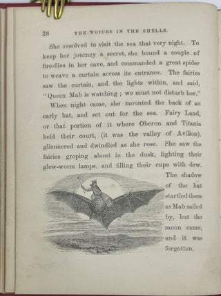 Town and Country, and the Voices in the Shells, with Illustrations