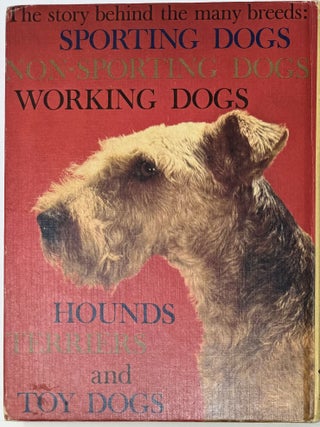 All About Dogs