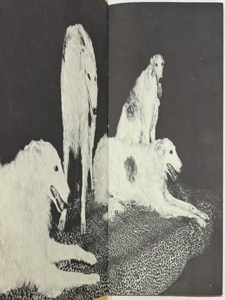 All About Dogs