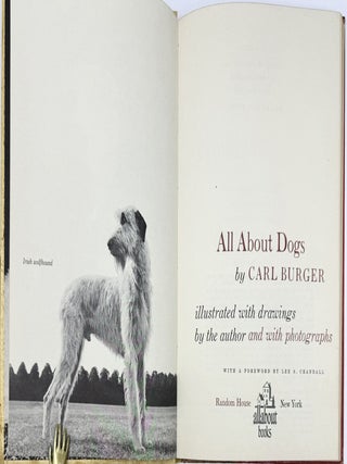 All About Dogs