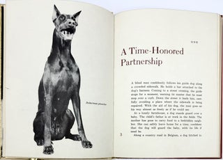 All About Dogs