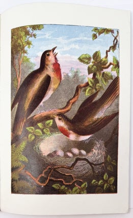 Story of the Robin, Gilt Cover Picture Books