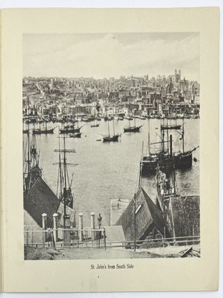 Souvenir Album of Newfoundland, No. 230