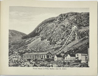 Souvenir Album of Newfoundland, No. 230
