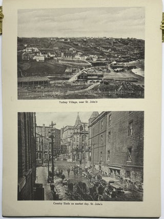 Souvenir Album of Newfoundland, No. 230