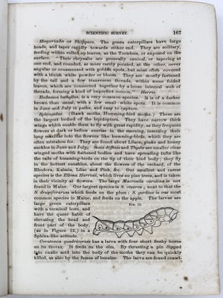 Seventh Annual Report of the Secretary of the Maine Board of Agriculture; Embracing also the Reports on the Scientific Survey, 1862