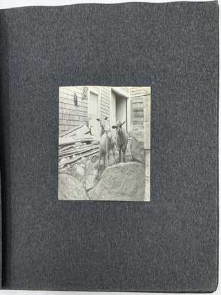 Photograph album, Ogunquit, Maine, June 1904