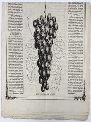 Moore's Rural New-Yorkder, for the week ending Saturday, Oct. 15, 1870, Vol. XXII, No. 16, Whole No. 1082