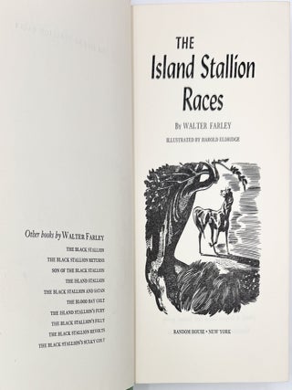 The Island Stallion Races