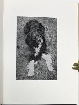 Travels with a Collie