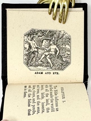 The Child's Bible
