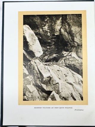 Bird Hunting Through Wild Europe, with 124 Illustrations, from Photographs by the Author