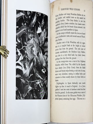 Bird Hunting Through Wild Europe, with 124 Illustrations, from Photographs by the Author