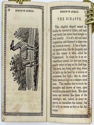 Museum of Foreign Animals; or History of Beasts, with Splendid Engravings