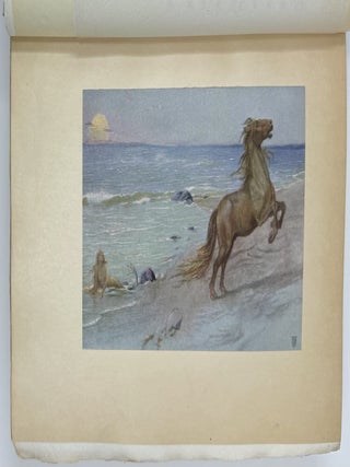 The Great Sea Horse