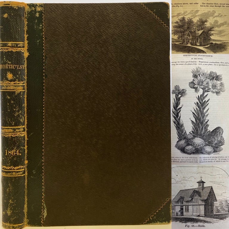 Item #259 The Horticulturist and Journal of Rural Art and Rural Taste, Devoted to Horticulture, Landscape Gardening, Rural Architecture, Botany, Pomology, Entomology, Rural Economy, Etc., Illustrated with Numerous Engravings., Volume XIX—January to December, 1864.