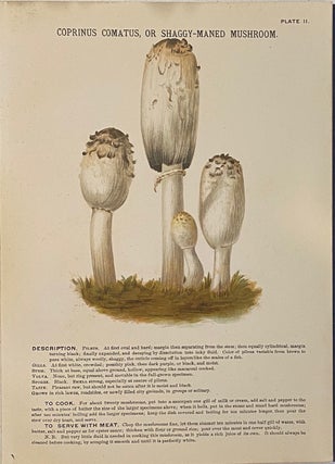 Item #746 Mushrooms of America, Edible and Poisonous. Julius A. PALMER JR